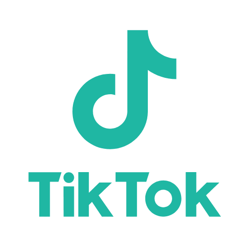 tiktok icon